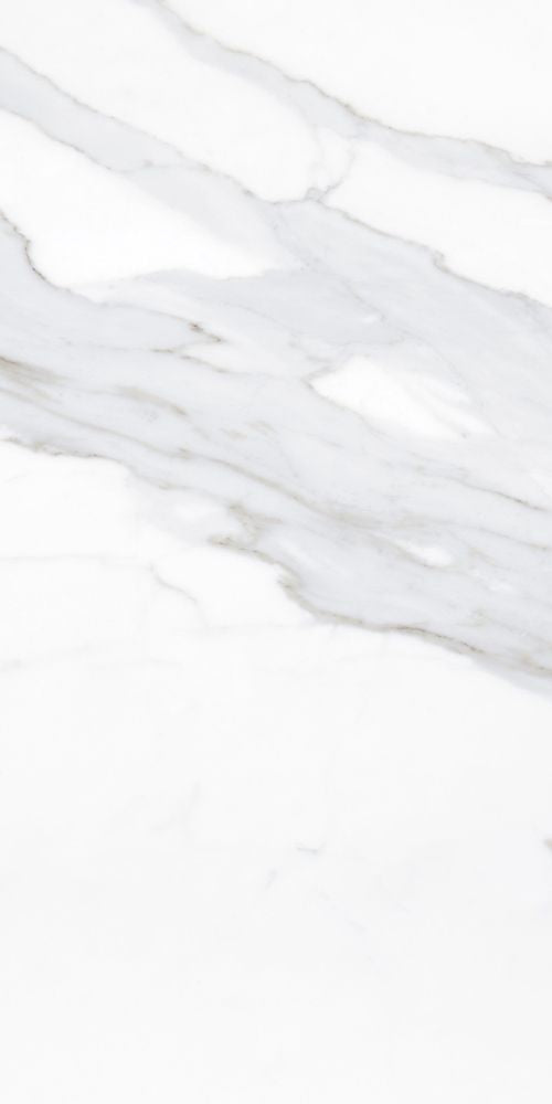 Prestigio Calacatta Porcelain 24x48